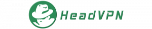 Vendor Logo of headvpn