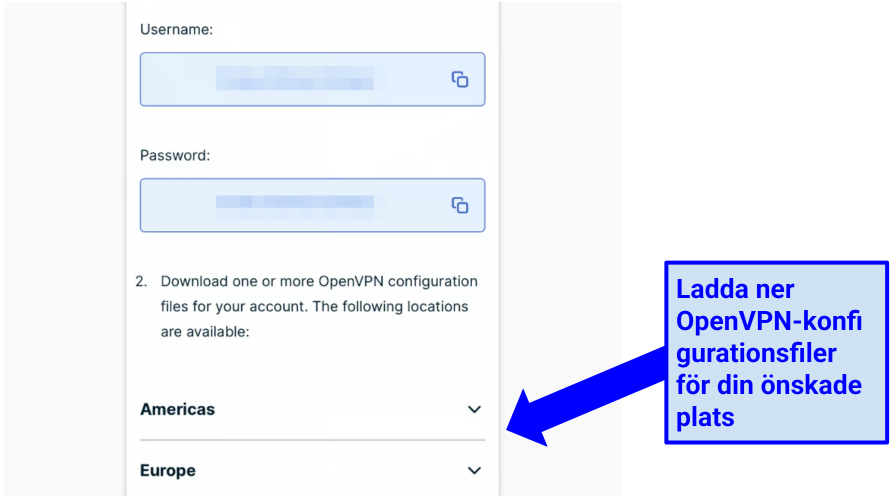 Image showing how to download ExpressVPN's OpenVPN configuration files