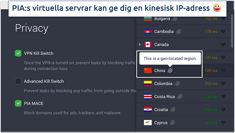 Screenshot of PIA's privacy settings and virtual servers in the app
